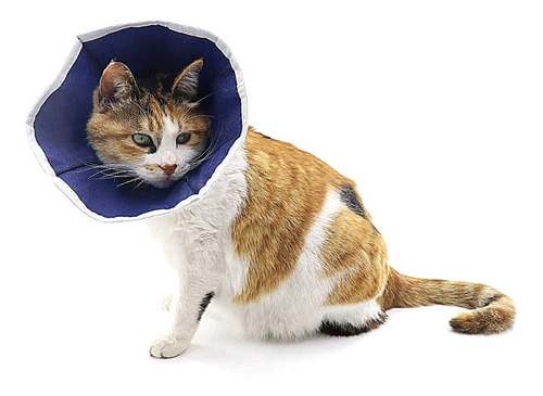 Imagem 4 de 5 de Colar Elizabetano P/ Gato Kruuse Buster Soft