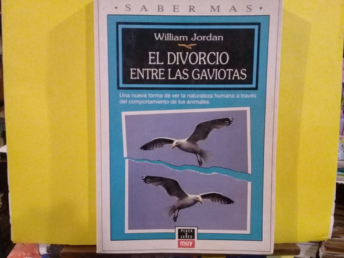 El Divorcio Entre Las Gaviotas - William Jordan - Edic 1993