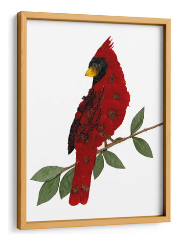 Cuadro Enmarcado Pino Cardinal 30x40, Designs By Andrea