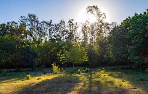 Imagen 2 de 21 de Lote En Venta En Azzurra Tortugas. Consultar Financiacion