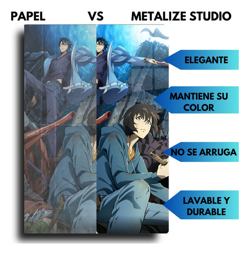Solo Leveling Anime Cuadro Metal + Soporte Magnético 20x30 Full Color Hd
