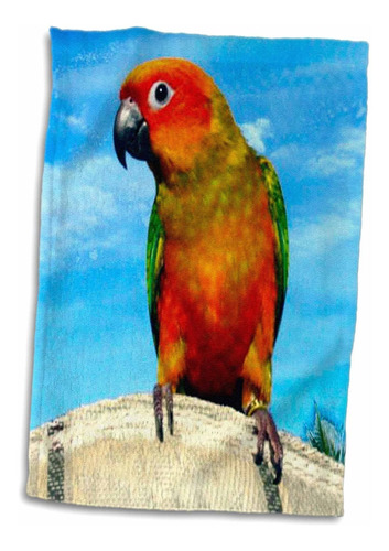 Toalla 3d Rose Sun Conure, 15 X 22