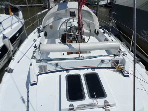 Imagen 5 de 10 de Velero Alpha 36