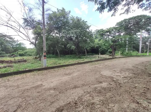 Lote En Venta En Bocono. Cod V24692