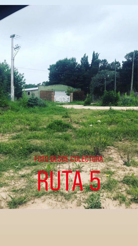 Imagen 4 de 13 de Venta Galpón