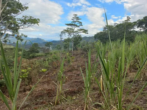 Venta De Lote En Villeta, Vereda Cune