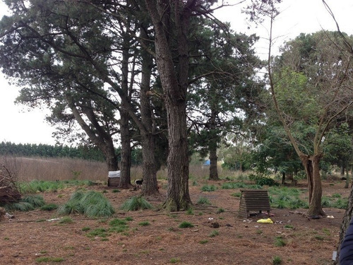 Imagen 9 de 11 de Campo De 1,7 Hectareas Para Emprendimiento O Explotacion