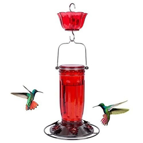 Bebedero Para Colibri Botella De Vidrio + Foso De Hormigas