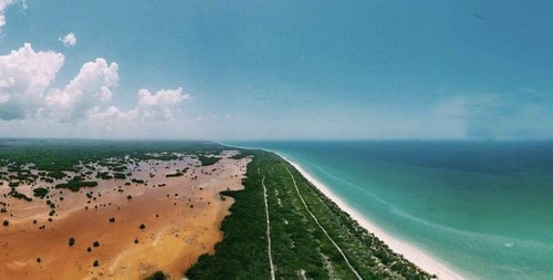 Imagen 25 de 29 de Lotes Plus En Lujoso Complejo Residencial Y Club De Playa Privado En Sisal !!