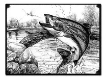 Comprar #919 - Cuadro Vintage - Pesca Pez Pescado Poster No Chapa