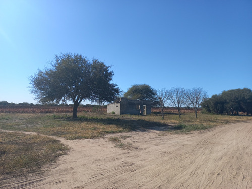 Flores Propiedades Vende Finca En Taquello (a 11 Kms. De Termas De Rio Hondo)