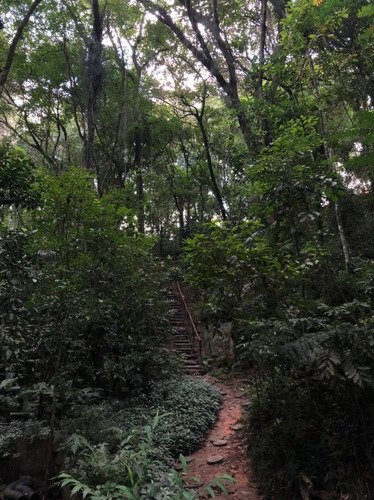 Casa De Condomínio À Venda Na Rua Dionísio Pedrellini, Jardim Olympia, São Paulo - Sp - Liv-8434