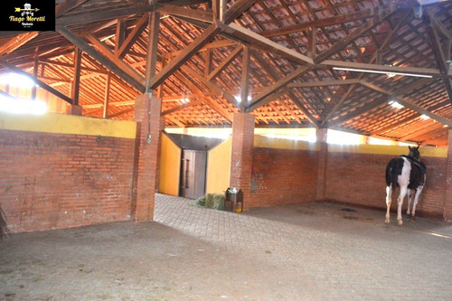 Excelente Haras Em Piquerá Porto Feliz-sp À Venda - Ha00001 - 69229779