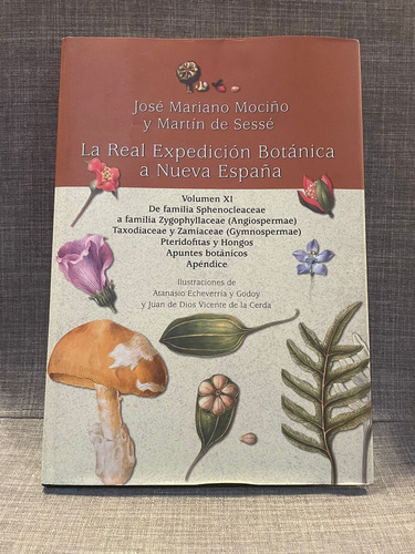 José M. Mociño Expedición Botánica Nueva España 11 (lxmx)