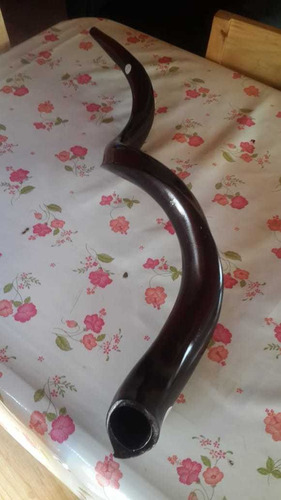 Imagen 2 de 5 de Shofar