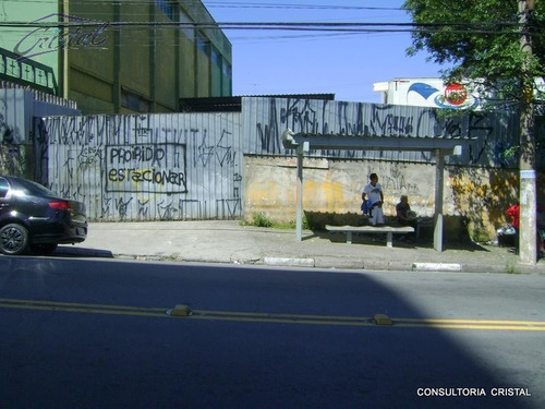 Imagem 9 de 11 de Terreno Para Venda, 0.0 M2, Rio Pequeno - São Paulo - 21756