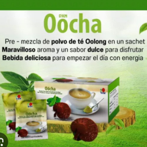 Té Oocha Dxn / Té Oolong Con Ganoderma Lucidum