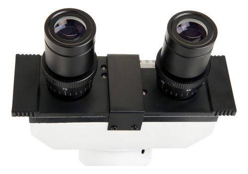Microscopio Binocular Celestron Labs Cb1000cf Inmersión Color Blanco