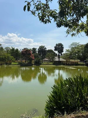 Hacienda-Finca en venta