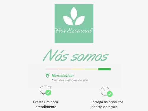Imagem 3 de 4 de 2 Licoreira Garrafa De Vidro 280ml P/ Licor Pronta Entrega