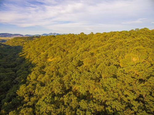 Imagen 7 de 10 de Venta De Terreno En La Cañada, Villa Del Carbón