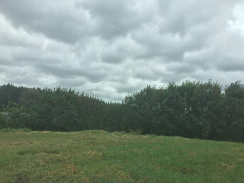 Imagem 27 de 30 de Área À Venda, 20000 M² Por R$ 5.000.000 - Éden - Sorocaba/sp, Próximo Ao Paço Municipal. - Ar0007 - 67640769