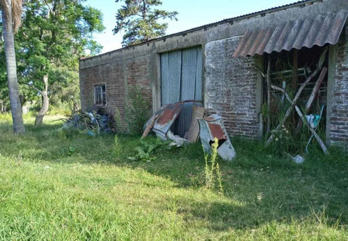 Imagen 2 de 9 de Terreno Venta 100x200 Mts - 20.000 Mts 2 Totales - Villa Montoro