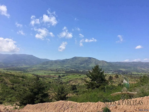 F-190 Valle Alegre, Quintero, 20.000m2