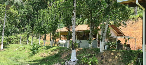 Sítio A Venda Em Brusque/sc - 1754c