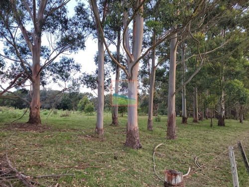 Imagen 21 de 28 de Campo 100 Hás Ruta 104 Manantiales