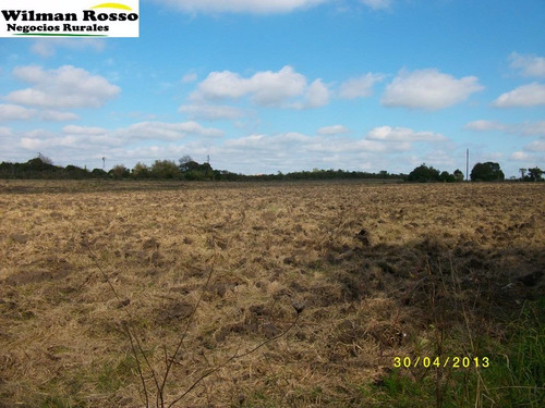 12hás 6189m2 C/ 2 Casas Sobre Ruta 5