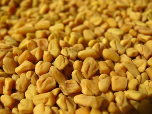 Semillas De Fenogreco 4 Kilos Para Moler O Germinar