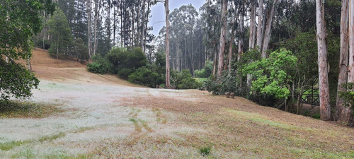 Casa En Venta En Algarrobo