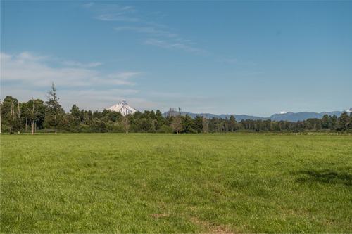 Agrícola En Venta En Puerto Octay