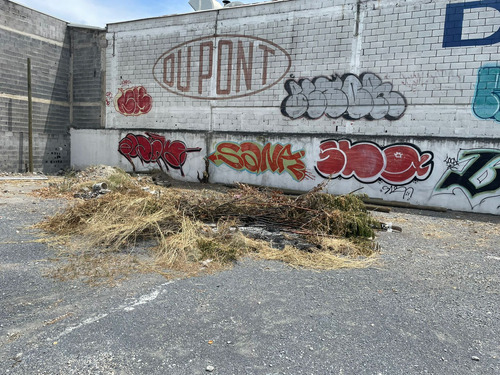 Terreno En Renta Col La Fe, San Nicolás, Nl