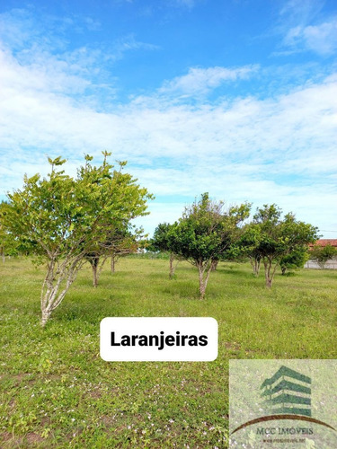 Imagem 11 de 18 de Chácara A Venda Lagoa Das Pedras, Povoado Mandú