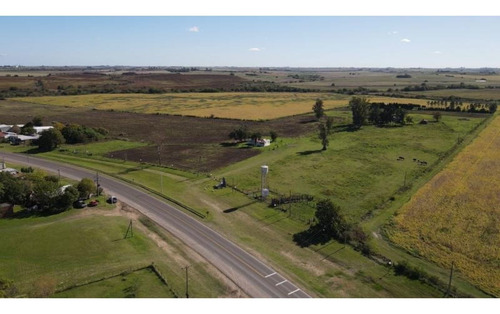 Imagen 2 de 30 de Molino Doll, Campo De 9 Hectáreas Con Casa, Sobre Ruta Y Con Costa De Arroyo