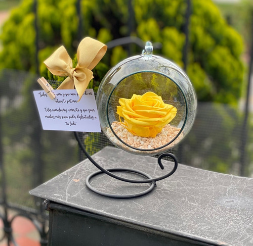 Rosa Preservada Amarilla Regalo Soporte + Burbuja Cristal | Cuotas sin  interés