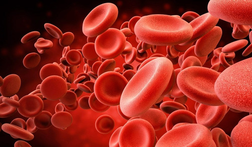Imagen 5 de 7 de Vitamina B12 Liposomal 60 Caps Previene Anemia Ortomolecular