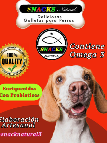 Galletas Para Perros Con Probióticos 