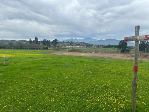Terrenos 5.000mts2 Rol Propio Limache Sector Los Laureles