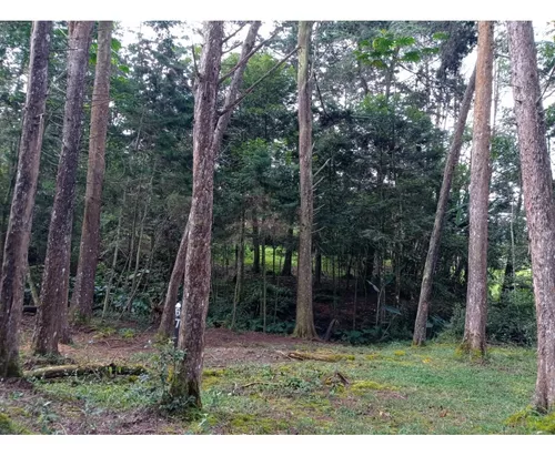 Lote En Venta Sector Llanogrande- Parcelación Vía Don Diego