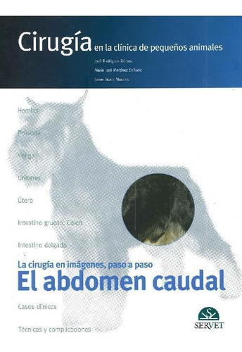 Libro Cirugía En La Clínica De Pequeños Animales De José Rod