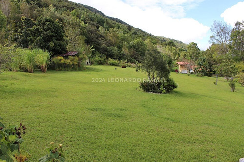 Se Vende Bella Finca De 10 Hectáreas Con Casa Colonial En Cacute Sector Santa Elena, Mérida.
