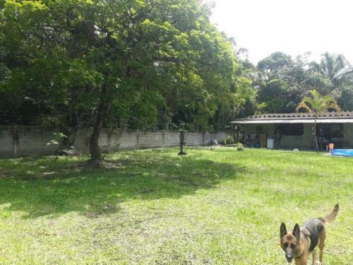 Chácara No Litoral Em Itanhaém ,confira !! 6947 J.s