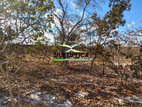 Imagem 13 de 15 de Fazenda 102,22 Hectares, R$ 2.788,10 Ha, Santa Fé De Minas Mg, Pecuária, - 442