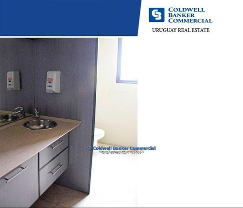 Oficina Punta Carretas Alquiler Venta