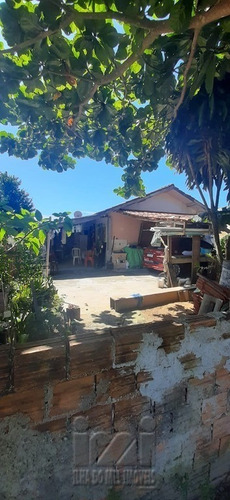 Imagem 11 de 15 de Residência Com 02 Quartos Em Shangrila - 2250ip-1