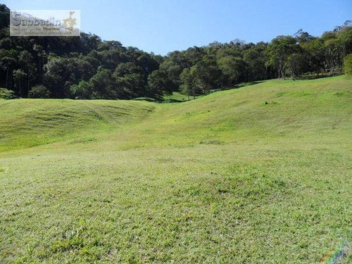 Imagem 20 de 20 de Terreno Residencial À Venda, Pedro Do Rio, Petrópolis. - Te0025