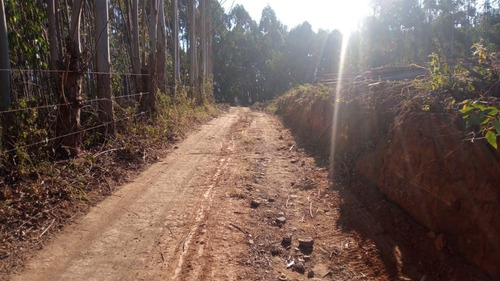 Imagem 6 de 14 de 3- Invista No Certo Terrenos Com Otima Topografia!